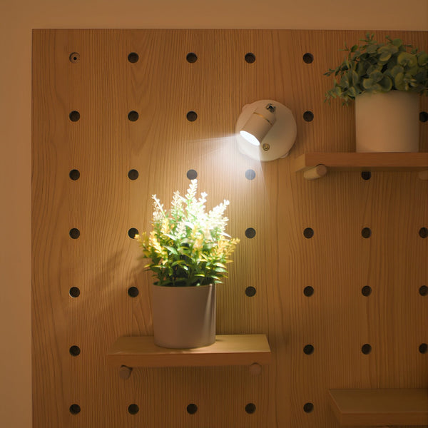 Wall Sconces