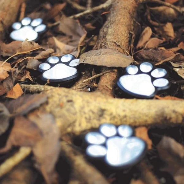PawGlow™